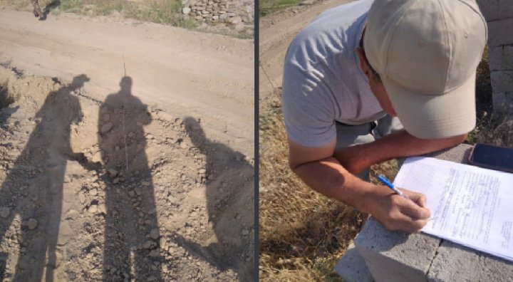 Житель Кашкадарьи повредил саженцы деревьев и теперь заплатит более 9 млн сумов штрафа