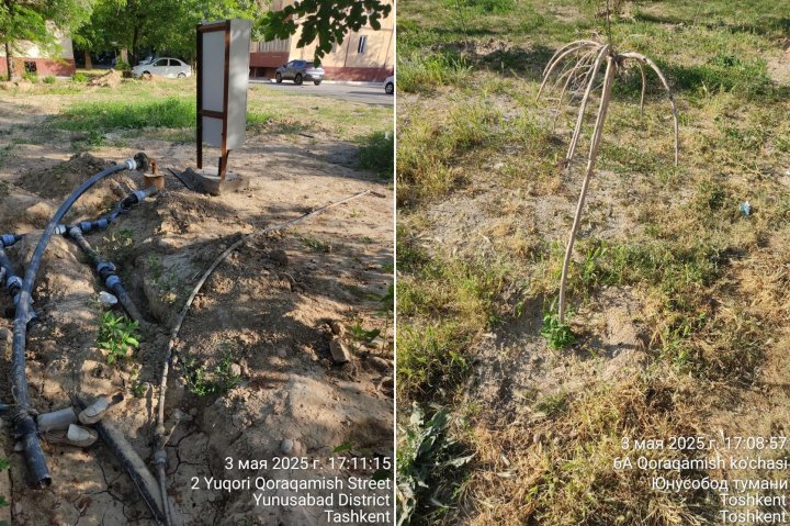 Жители Юнусабадского района просят власти спасти аллею