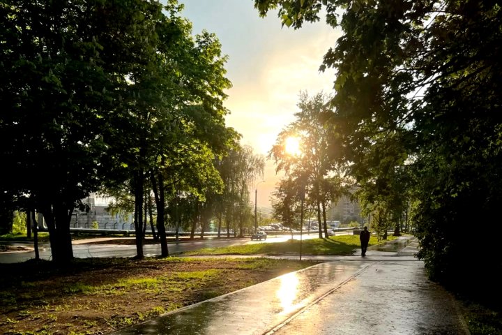 Дожди, грозы и ощутимое похолодание до +22°C: Опубликован прогноз погоды в Узбекистане на 26-30 мая