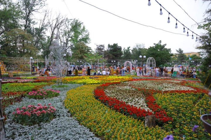 Фестиваль цветов в Намангане продлили ещё на 2 недели