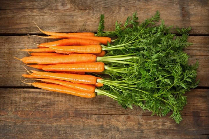 Морковный урожай Узбекистана покоряет мир: Экспорт достиг $4,1 млн