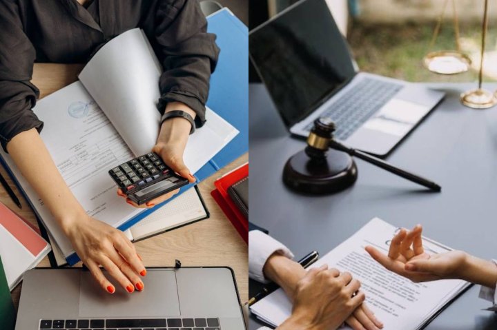 В Узбекистане вырос спрос на услуги юристов и бухгалтеров