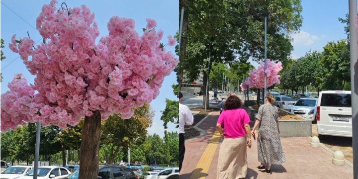 Одну из улиц Ташкента решили украсить искусственными цветами