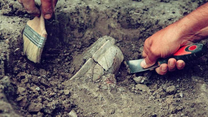 Археологи под Ташкентом нашли новые находки династии Тимуридов