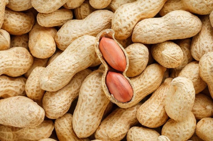 Узбекистан экспортировал больше всего арахиса в Казахстан