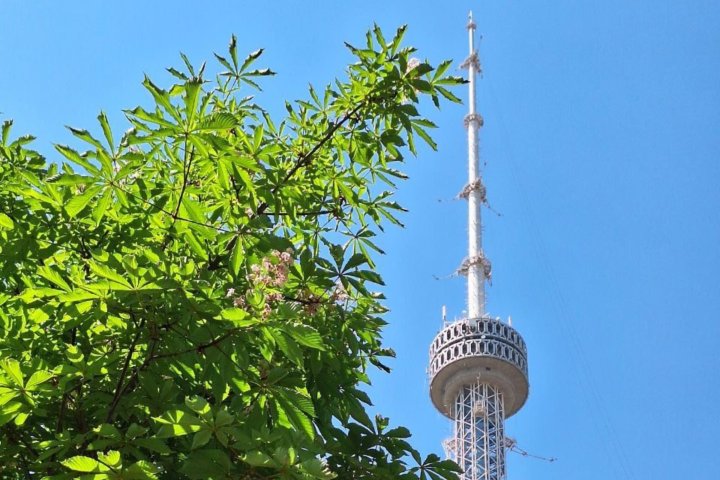 В Узбекистане «похолодает» до +30°C