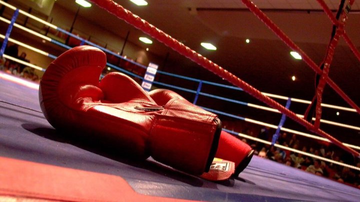 Узбекистан и Казахстан снова подтвердили статус лидеров мирового бокса