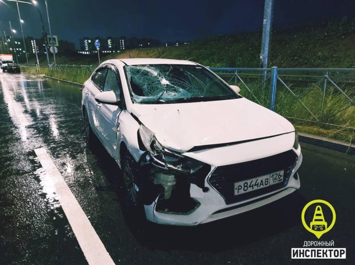 В Санкт-Петербурге нелегальный мигрант из Узбекистана сбил женщину на переходе