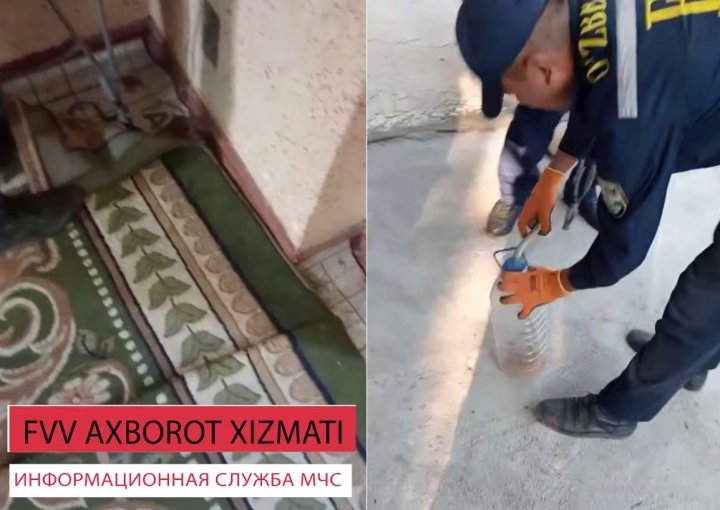 В дома жителей Джизака заползли змеи