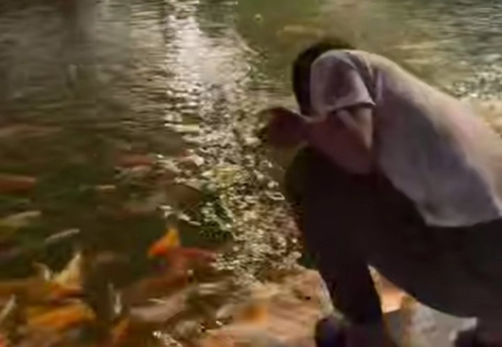 В Ташкенте будут судить парня поймавшего рыбу в центральной парке