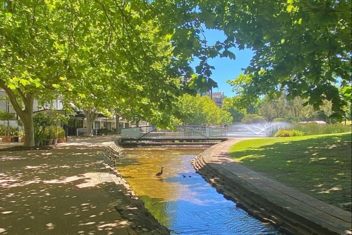 Опубликован прогноз погоды в Узбекистане на 26 июня
