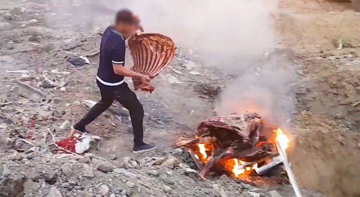 В Джизаке сожгли 431кг некачественного мяса, которое планировали продать в Ташкенте