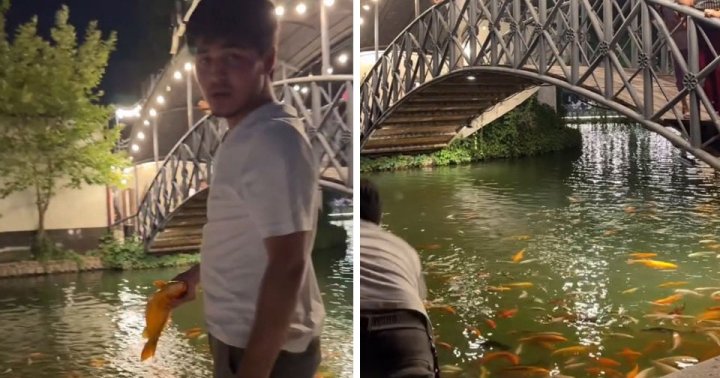 «Мне стало жаль его маму»: чем закончилась история с рыбаком из Central Park в Ташкенте?