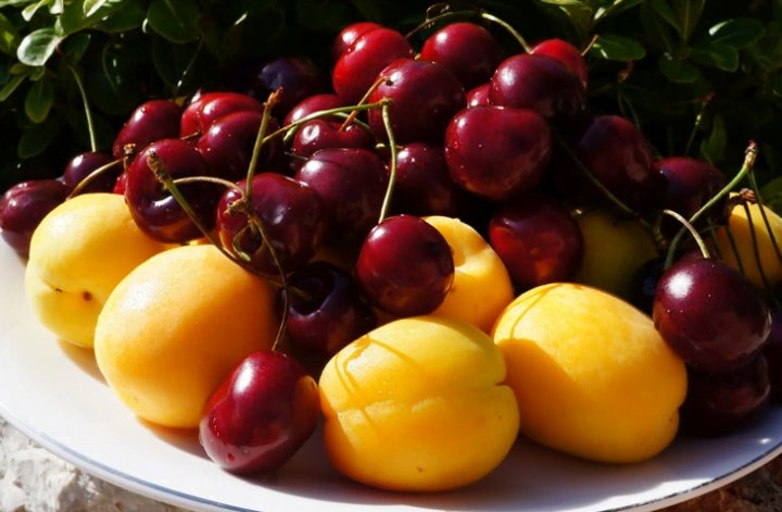 В Узбекистане разгорелись жаркие споры из-за минимальных цен на фрукты