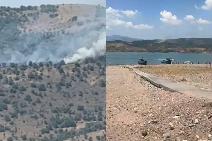 В Ташобласти на территории лесного хозяйства вспыхнул пожар