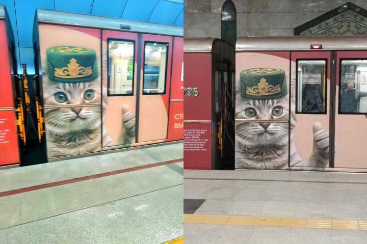 В Казани начал курсировать поезд с котом в тюбетейке