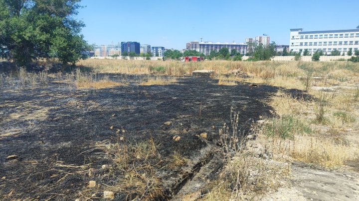 В УЧС Ташкента прокомментировали возгорание сухой травы в Яшнабадском районе