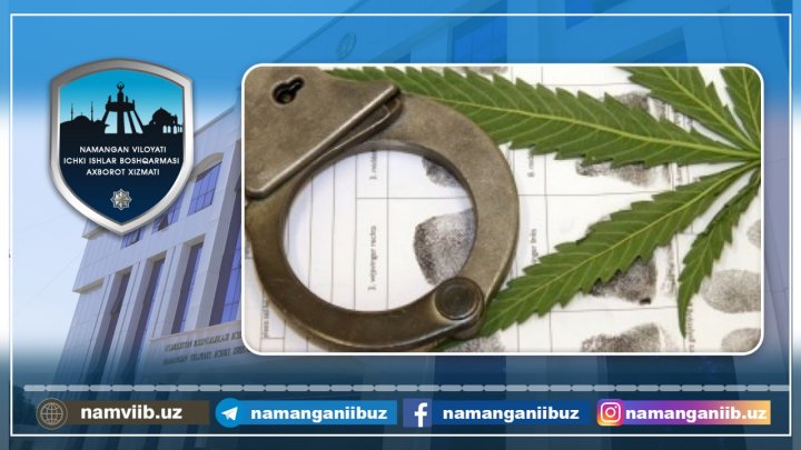 Житель Чустского района хранил марихуану и сушил каннабис