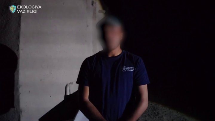 Антигероем видео с краснокнижным серым вараном оказался 20-летний житель Джандарского района.