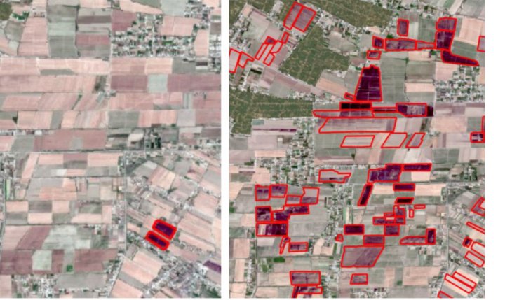 Спутниковый мониторинг выявил 213 пожаров в Узбекистане