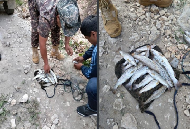 Ущерб природному миру на 10 млрд сумов нанесли браконьеры в Кашкадарье, которые вылавливали краснокнижную рыбу