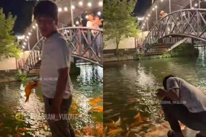 В Ташкентском парке молодой человек вытащил рыбу из канала и устроил скандал — видео