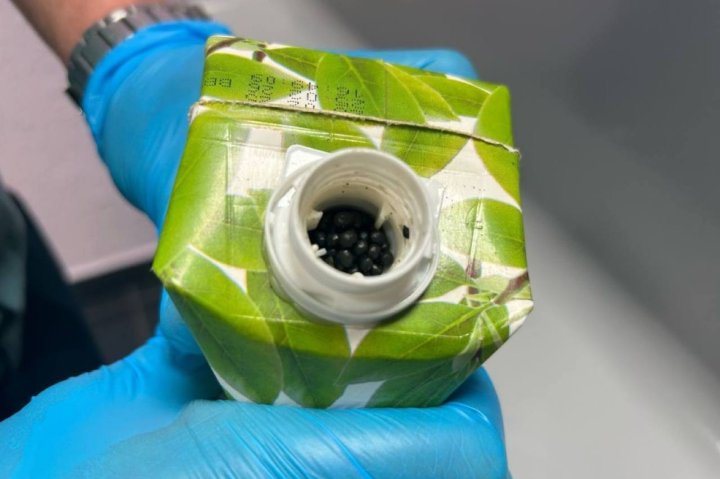 В России у пассажиров из Узбекистана изъяли более 5 килограммов насвая