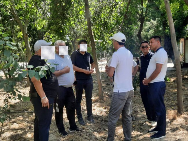 В Ташкенте мужчину оштрафовали за повреждение дерева