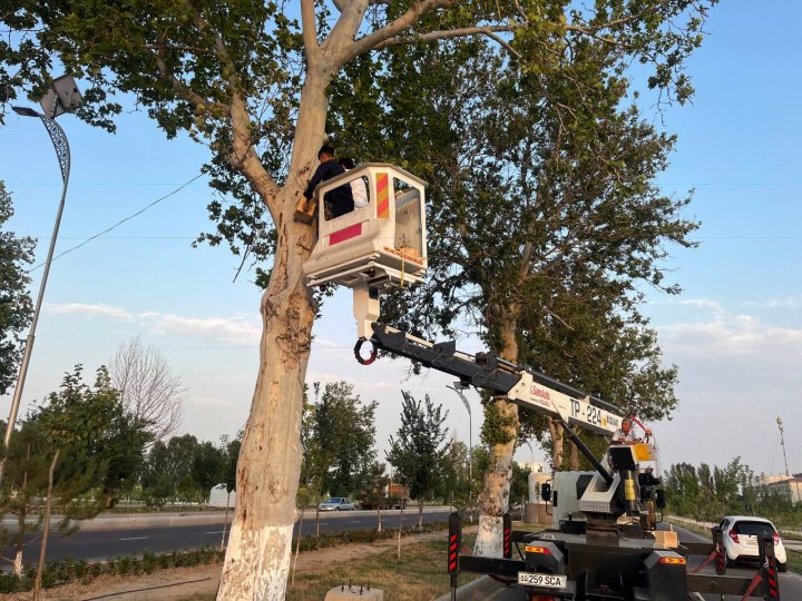В Нурафшане установили 1000 скворечников для птиц