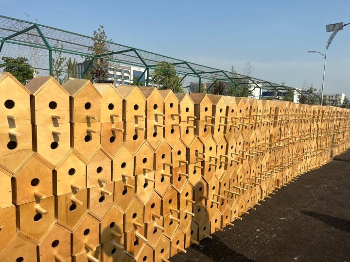 В Нурафшане установили 1000 скворечников для птиц