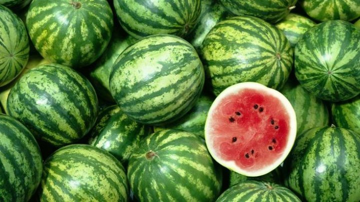 Медики Узбекистана предупреждают о рисках употребления ранних арбузов