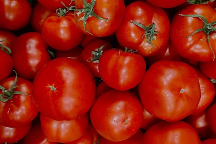 За полгода Узбекистан продал помидоры на $23,5 млн