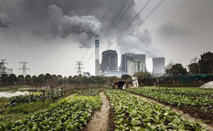 За полгода в Узбекистане выявили свыше 23 тысяч нарушений экологического законодательства