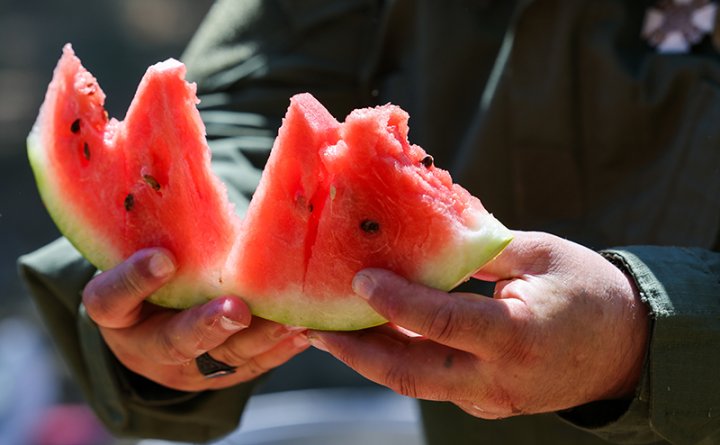 Информация о массовом отправлении арбузами в Узбекистане опровергнута