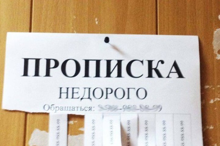 Петербурженка получила срок за фиктивную регистрацию семерых мигрантов из Узбекистана