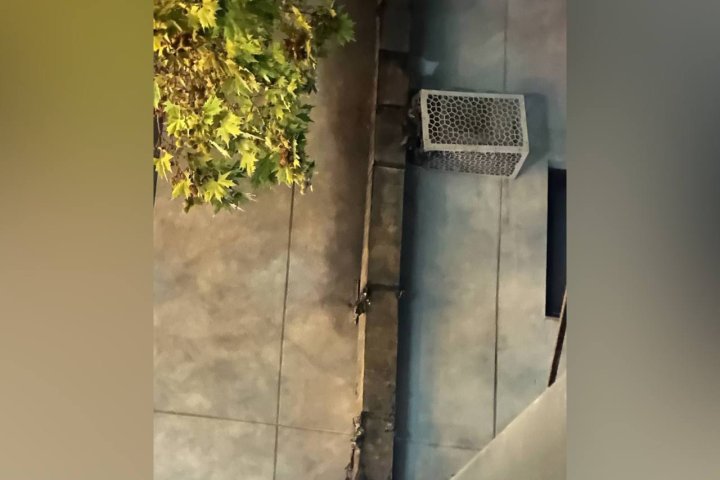 Ночью в Ташкенте произошёл пожар в одном из кафе