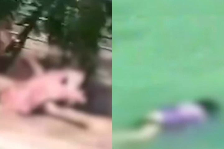 В Кашкадарье утонули две 61-летние женщины — видео