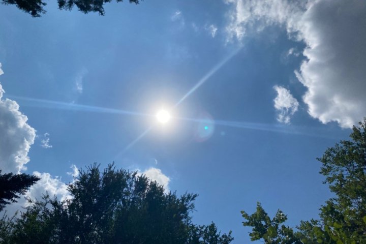 В Ташкенте побит температурный рекорд за последние полтора века