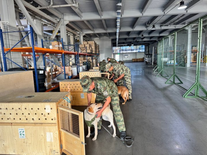 Узбекистан отправил в Корею 6 собак