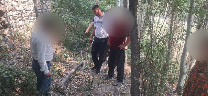 Житель Кашкадарьи заплатит крупный штраф за вырубленные деревья