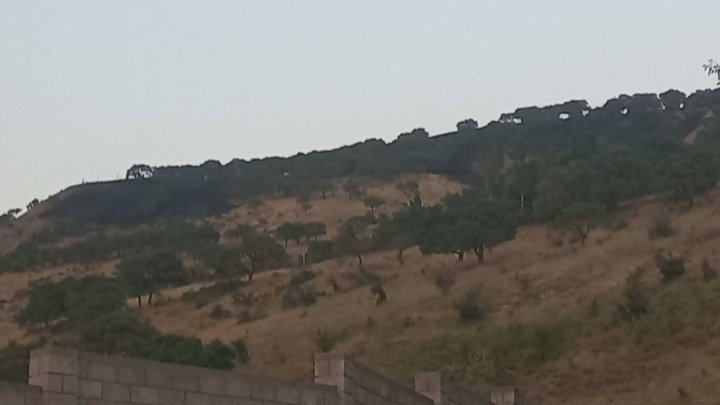 Рядом с Чарваком загорелась сухая трава, причиной пожара стала жаркая погода