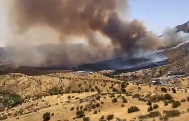 В МЧС опровергли информацию о пожаре в Кашкадарьинской области, который длится 3 дня