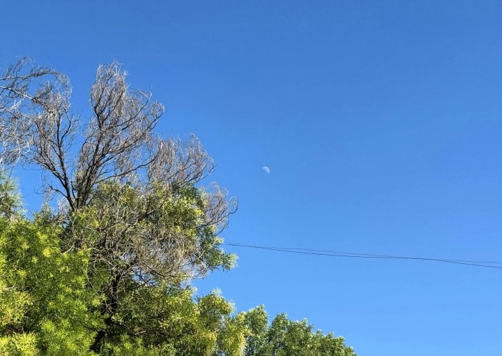 Опубликован прогноз погоды в Узбекистане на 9 июля