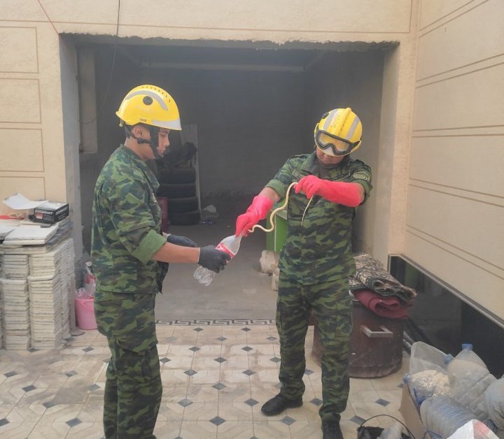 В доме жителя Нукуса поймали змею