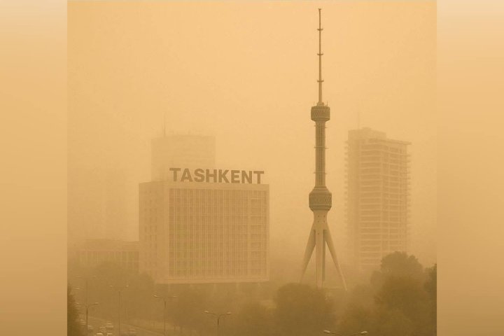 Узбекистан ждёт жара до +46°C и пыльные бури