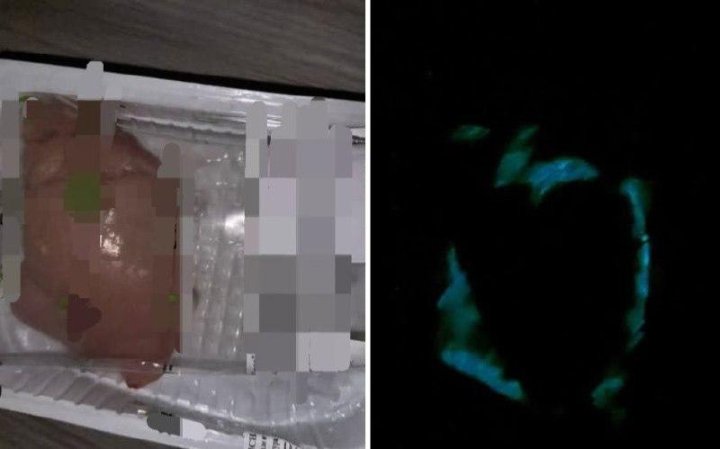 Ташкентцев удивило светящееся мясо