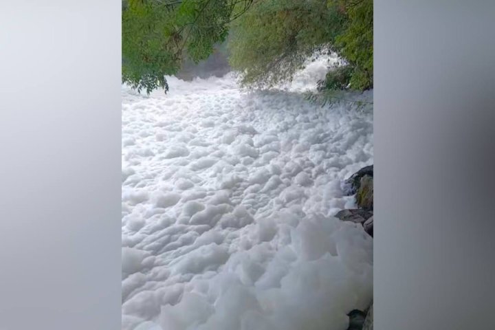 Ферганский канал покрылся пеной — видео
