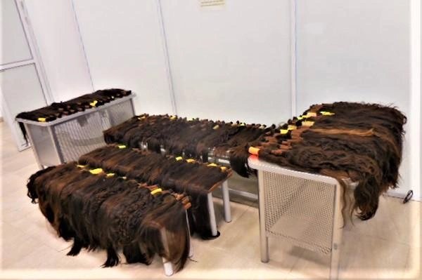 В Волгограде у гражданки Узбекистана конфисковали волосы