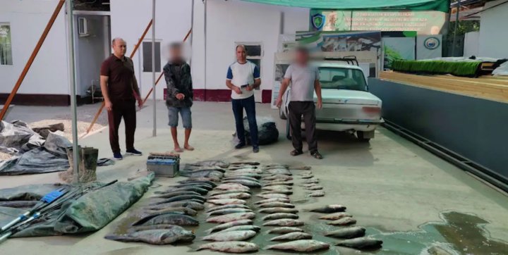 В Ташкентской области выявлены браконьеры, дело направили в прокуратуру из-за огромного материального ущерба