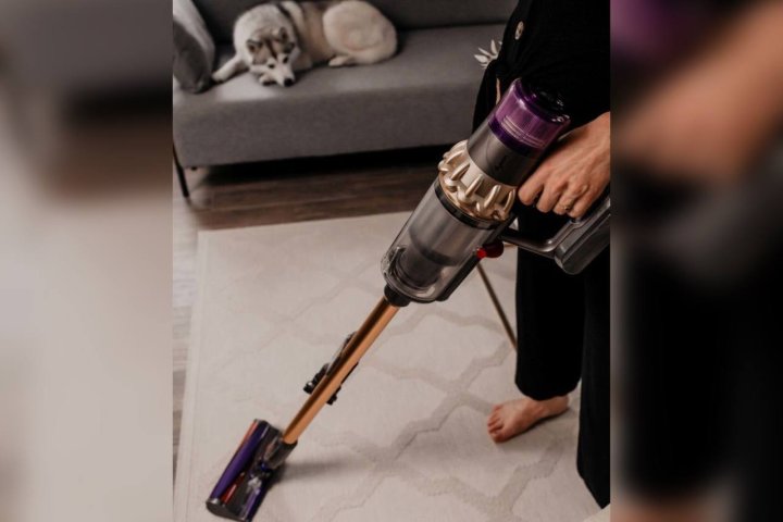 В Узбекистане на 100 семей в среднем приходится 84 пылесоса